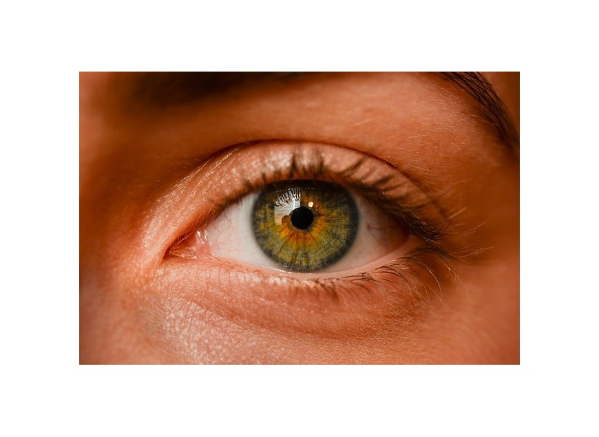 La santé des yeux avec votre opticien by Optique du faubourg Paris 11